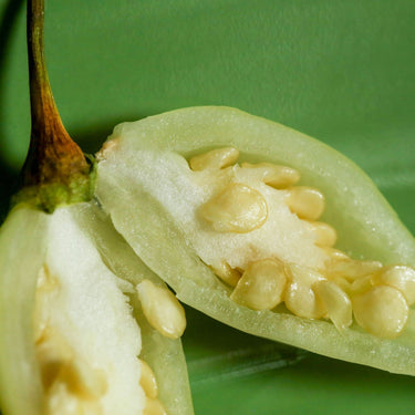 Biquinho White Pepper Seeds - The Pepper Pantry (Formerly Marie Sharp's)